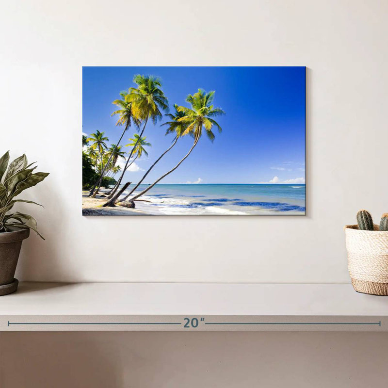 Gillard Trinidad Coast Palms, H 8 po x l 12 po