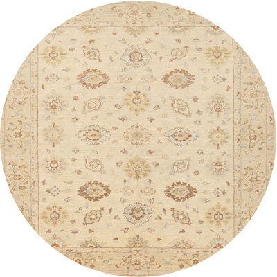 Ceirra Oriental Indoor Rug