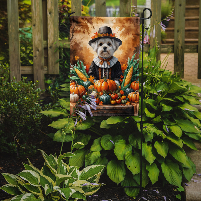 Drapeau du jardin de l'Action de grâce, Bichon maltais