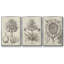 Fresco Crown Imperial II 3 pièces-97795117-97795111