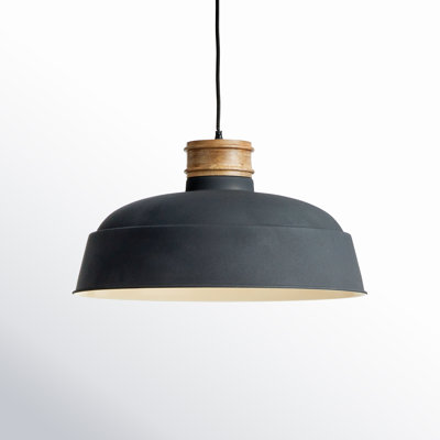 Mesmer Single Light Iron Dimmable Pendant