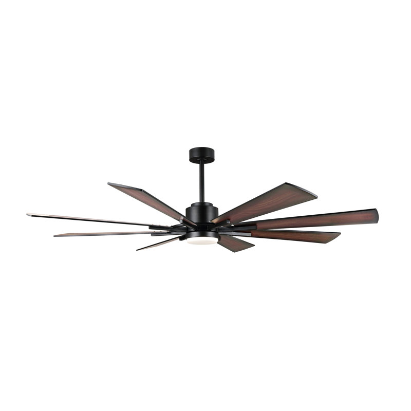 Ventilateur de plafond à courant continu Avgoustinos avec lumière DEL et télécommande, Noir avec pales noyer