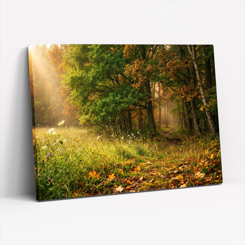 Ensemble de 1 tableau sur toile « Chemin forestier », H 36 po x l 48 po, Toile tendue