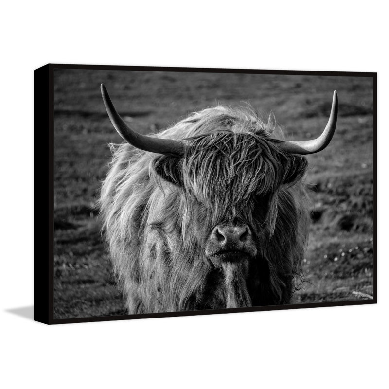 Iconic Beasts by Marmont Hill - Painting, Canvas, 51cm H x 76cm W