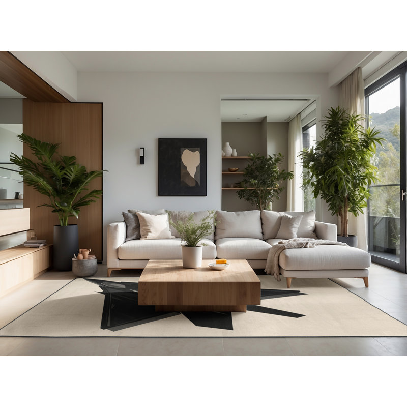Soft Plush Efimov Stealth Jet Airplane Sleek & Chic Modern Area Rug in Beige – Black Binding, 5x8