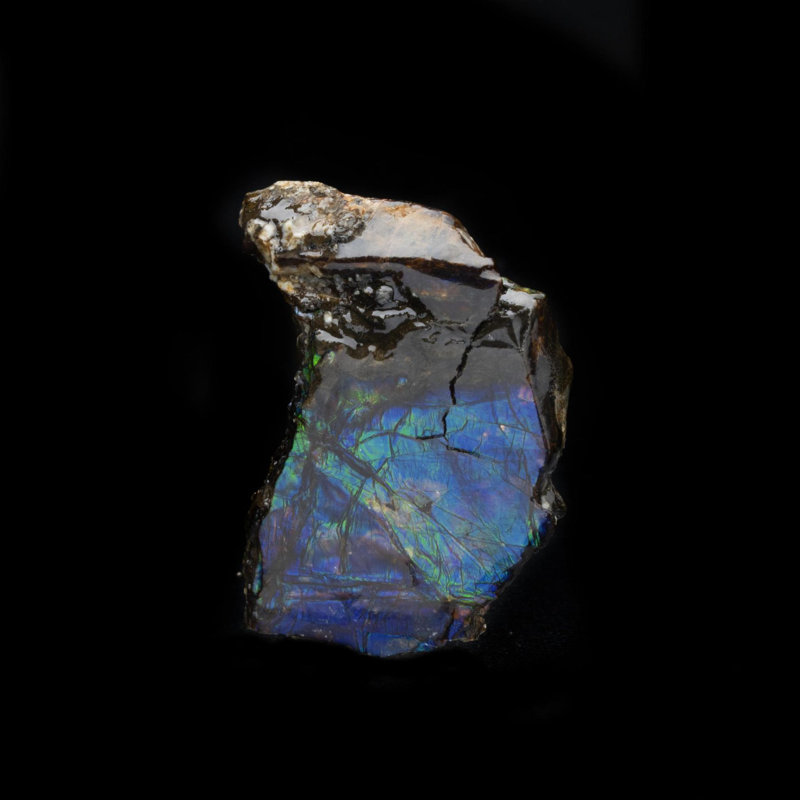 Ammolite in Collector's Box