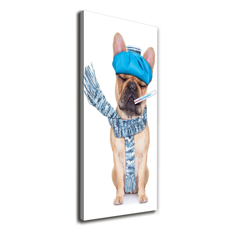 Ill Dog - Wrapped Canvas Print