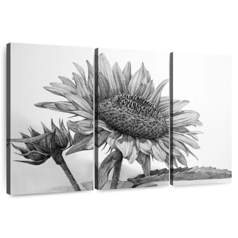 Harnek Black And White Sunflower, 32" H x 50" W