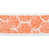 Corail