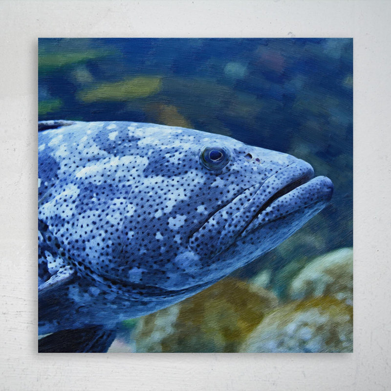 Macro photographie d'un poisson mérou gris - peinture sur toile tendue, L 12 po x H 12 po