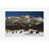 White Single Picture Framed selected