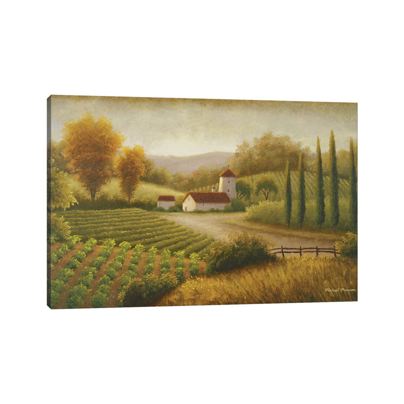Vineyard In The Sun II by Michael Marcon - Wrapped Canvas Gallery-Wrapped Canvas Giclée, 152.5 cm H x 101.5 cm W
