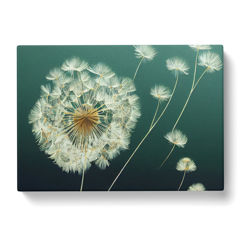 Unusual Dandelion Flowers - Wrapped Canvas, 50cm H x 76cm W x 3cm D