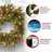 24 in. Glittery Mountain Spruce Wreath with LED Lights