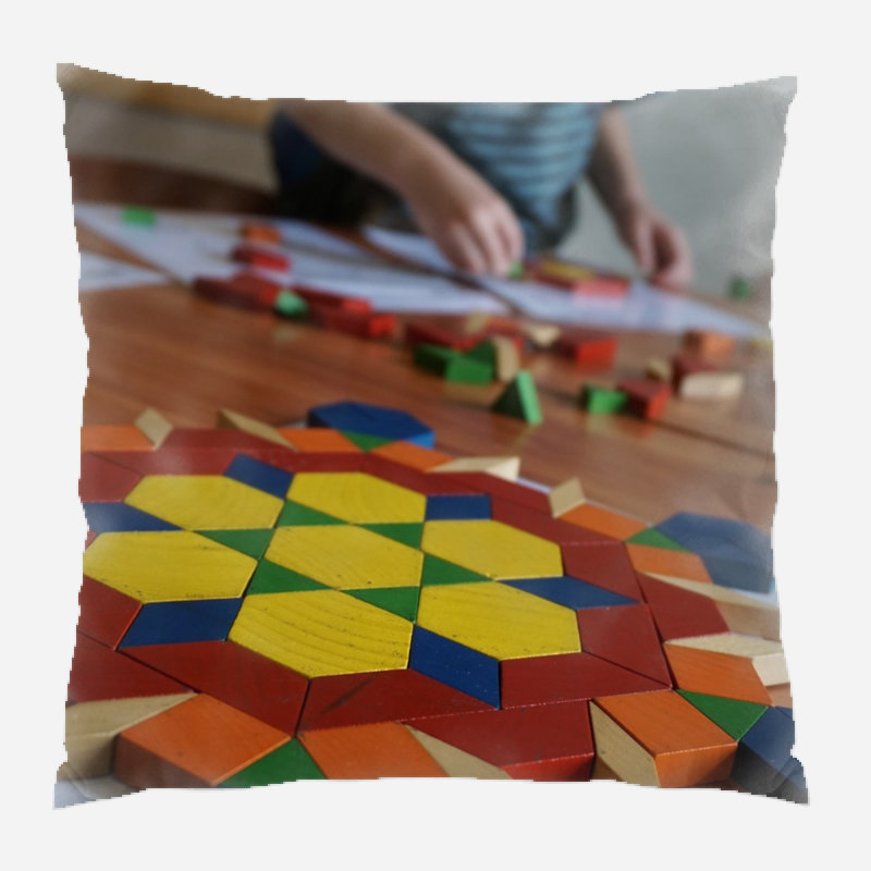 Microsuede Reversible Throw Pillow