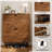 Modern Freestanding Walnut Shoe Cabinet with 2 Flip Drawers