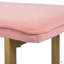 Ensemble de 1 banc rembourré en velours-343844049