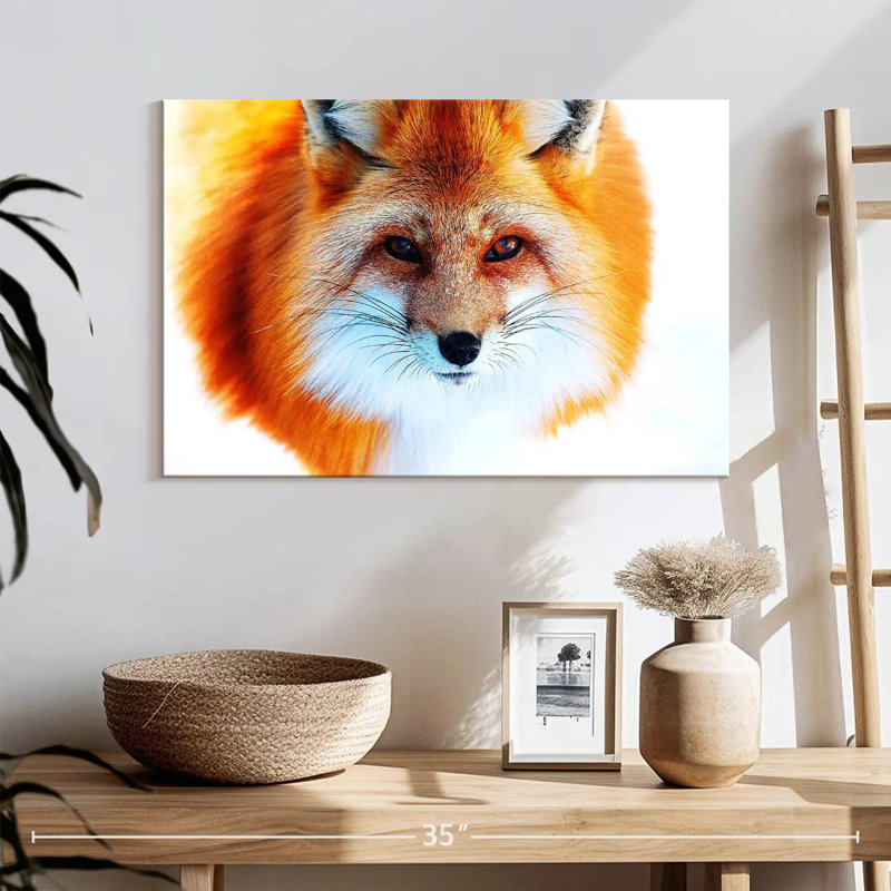 Visage de renard roux Brampt, H 16 po x l 24 po