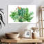 Plantes grasses Harnek-107700859