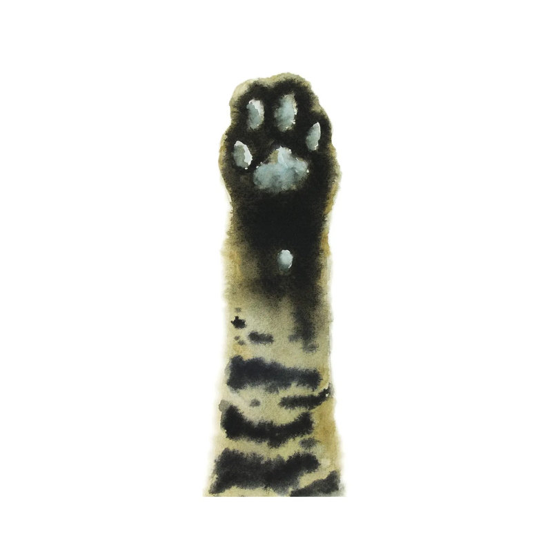 Tabby Cat Paw by Alexey Dmitrievich Shmyrov - Wrapped Canvas Panoramic Print, 30.48 cm H x 91.44 cm W x 1.91 cm D