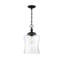 Luminaire suspendu simple en forme de cloche à 1 lumière Pinedale-1390480724