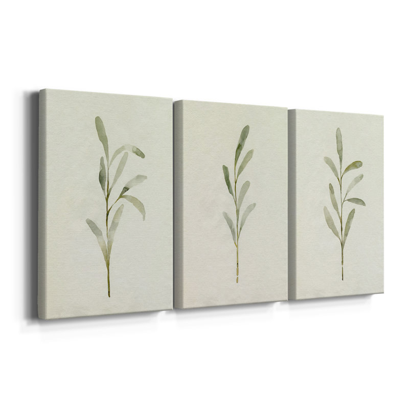 Olive Leaves I - Toile tendue avec châssis sur mesure - 3 pièces, H 36 po x l 72 po