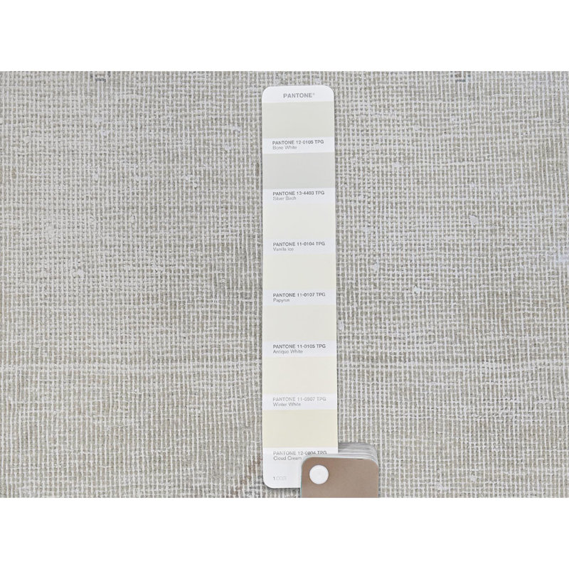 1 po 9 po x 3 po 6 po ivoire, aspect délavé usé, laine vieillie nouée à la main Kerman Shabby Elegance, tapis oriental BBBD430A5C634EB9B7E14F0AFBDAA185