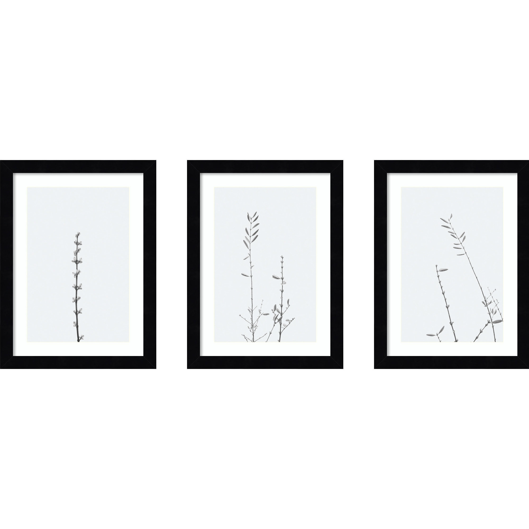Retro Tennessee Botanical Prints by Adela - 3 Piece Single Picture Frame Photograph Set, Black, 13" H x 34" W x 1" D