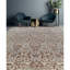 Ziegler Wool Oriental Area Rug