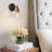 Iron Armed Sconce With Seeded Glass