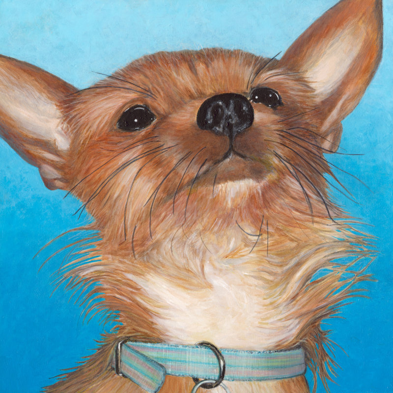 Dlynns Dogs - Gratitude by Dlynn Roll - Wrapped Canvas Painting, 51cm H x 51cm W