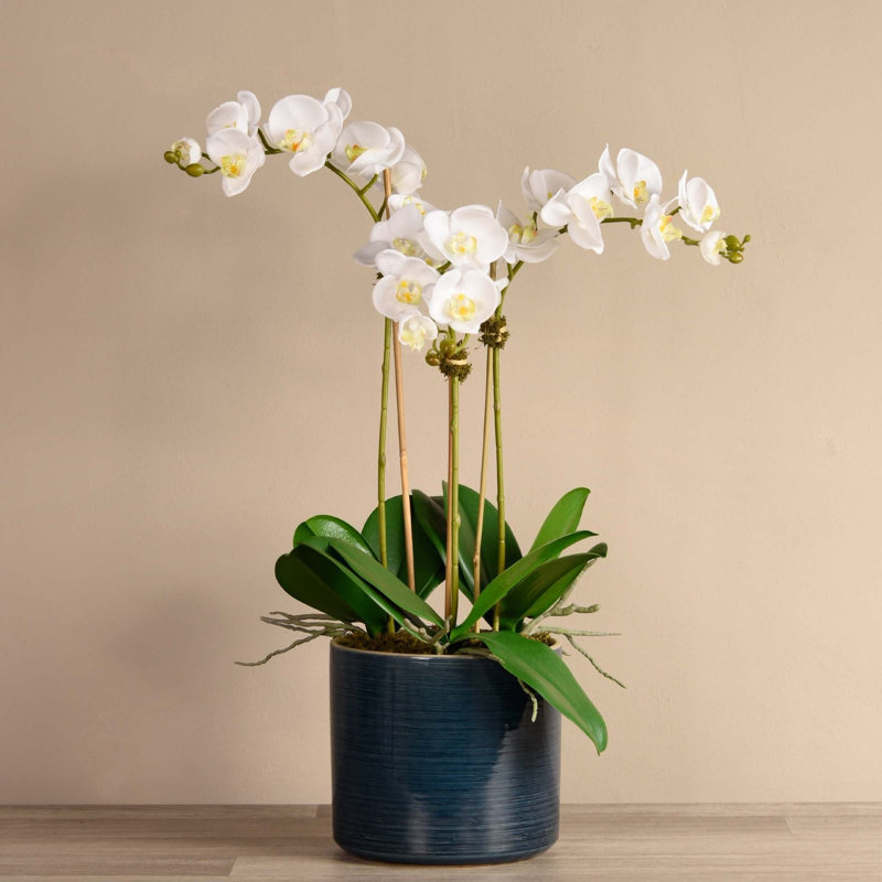 Orchid Floral Arrangement in Pot, 29.5" H x 9" W x 9" D, 3