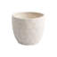 Nereus Handmade Ceramic Planter-1312301832