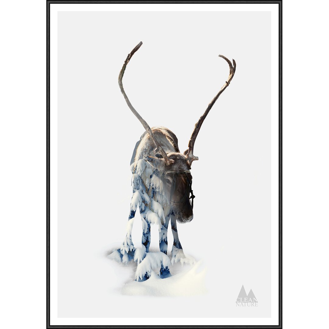 Gerahmtes Poster Moose, Grafikdruck