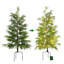 Plant-120806718
