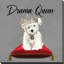 Drama Queen Westie (Square) par By Jodi - impression-1124527866-1124527868