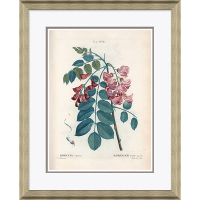 Bristly Locust Giclee Print by Paul Cezanne