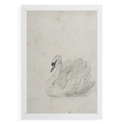 Vintage Sketch XI -Canvas Print Only - NOT FRAMED