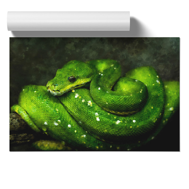 Green Python Snake - No Frame Print, 21cm H x 30cm W x 0.1cm D