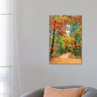 Road To Forest by Nejdet Duzen - Print on Canvas
