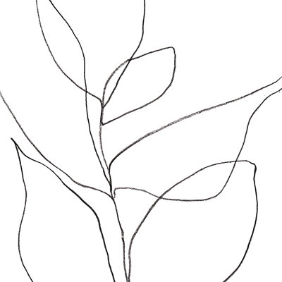 " Galleryj9 Minimalist Line Art Plant Drawing "