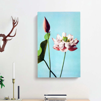 Pink Lotus Flowers by Ogawa Kazumasa - Wrapped Canvas
