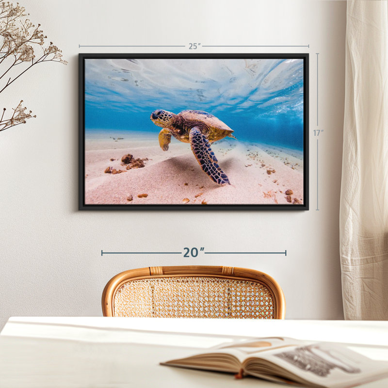 Sandy Turtle Canvas Print, 17" H x 25" W
