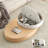 Oval creative multi-functional tea table