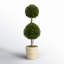 Preserved Boxwood Double Ball Topiary in Pot-465220151
