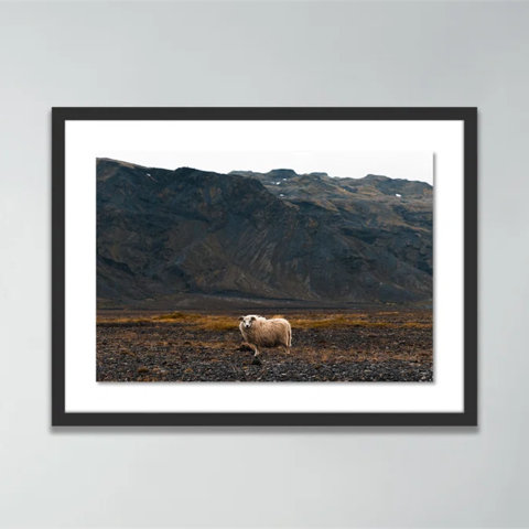 Framed print of a sheep in a mountain landscape.