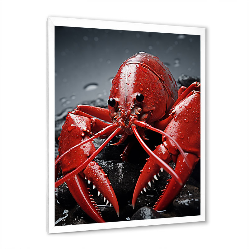 Laurelyn Crayfish Elusive Crayfish sur toile, H 44 po x l 34 po x P 1,5 po, Cadre photo blanc