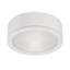 Tube 1 - Light Flush Mount-2000393988