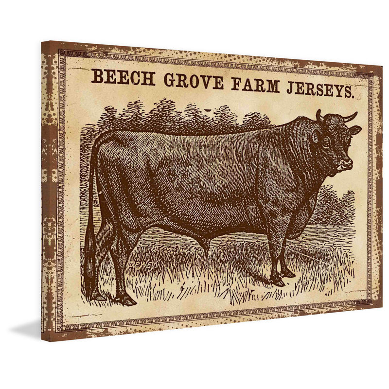 Cows Jerseys 2 - Wrapped Canvas Print, 30cm H x 45cm W x 3.81cm D