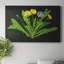 Wild Dandelion II - Wrapped Canvas Print-974503454